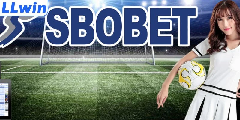 SBOBET Thể Thao - Sảnh Giải Trí Thu Hút Đông Hội Viên 1 Sơ lược về sảnh SBOBET thể thao